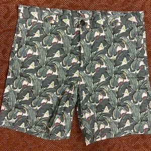 Men’s Southern Proper 36w Banana Leaf Shorts